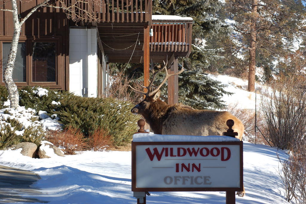 אסטס פארק Wildwood Inn מראה חיצוני תמונה
